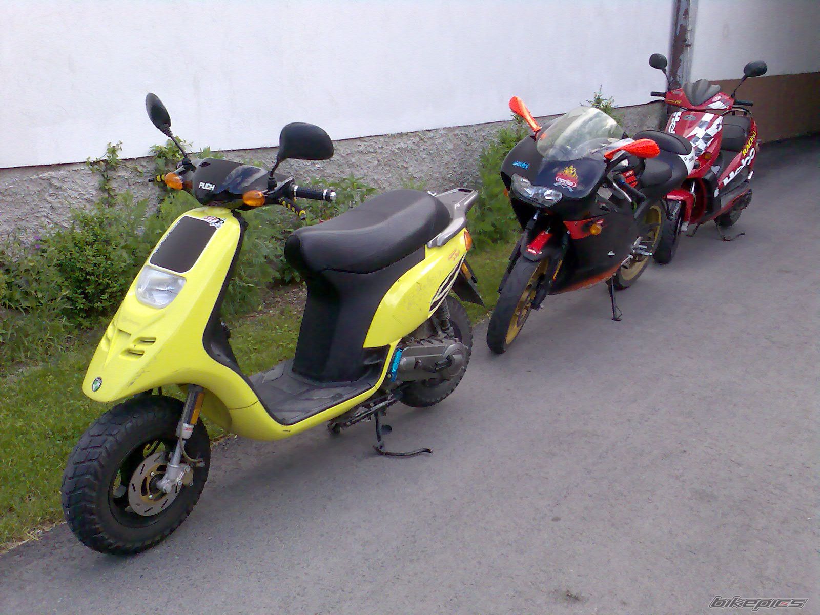Photo 901130