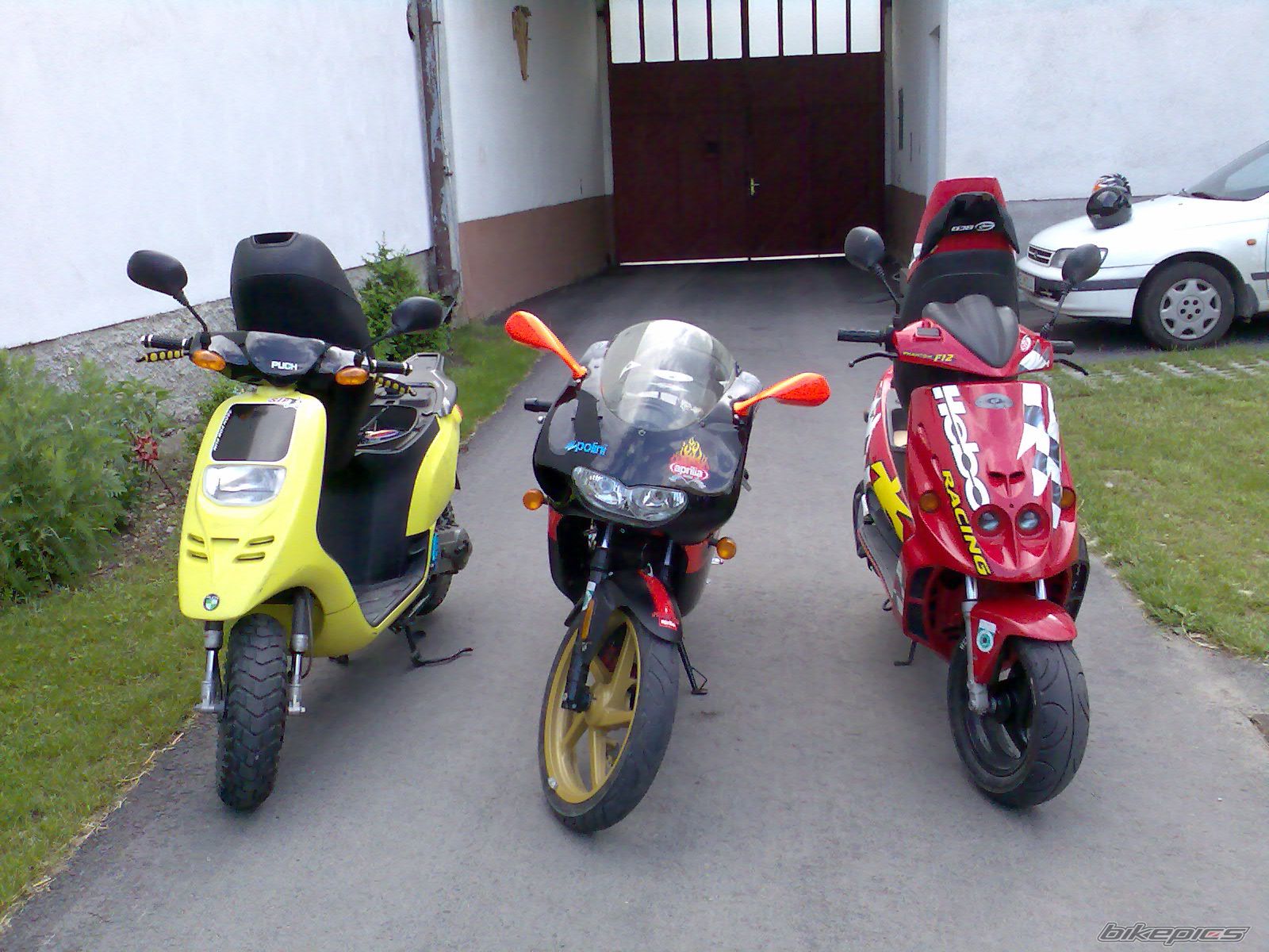 Photo 901132
