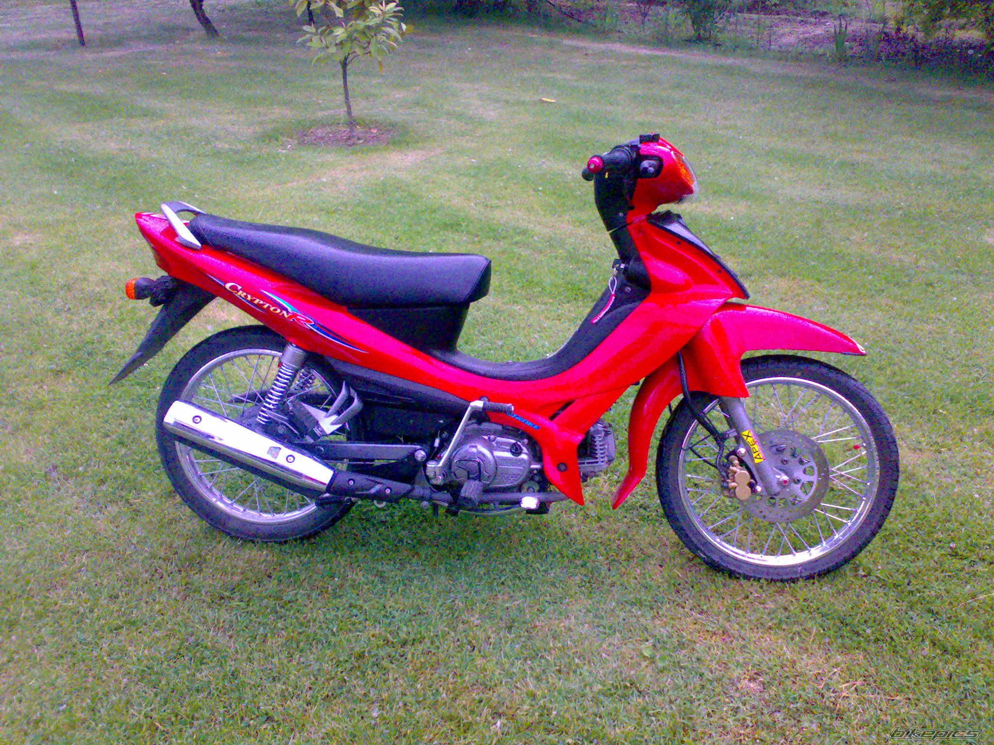 Photo 901143