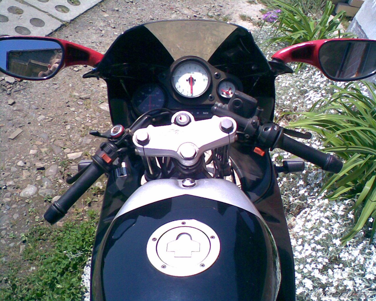 Photo 901272