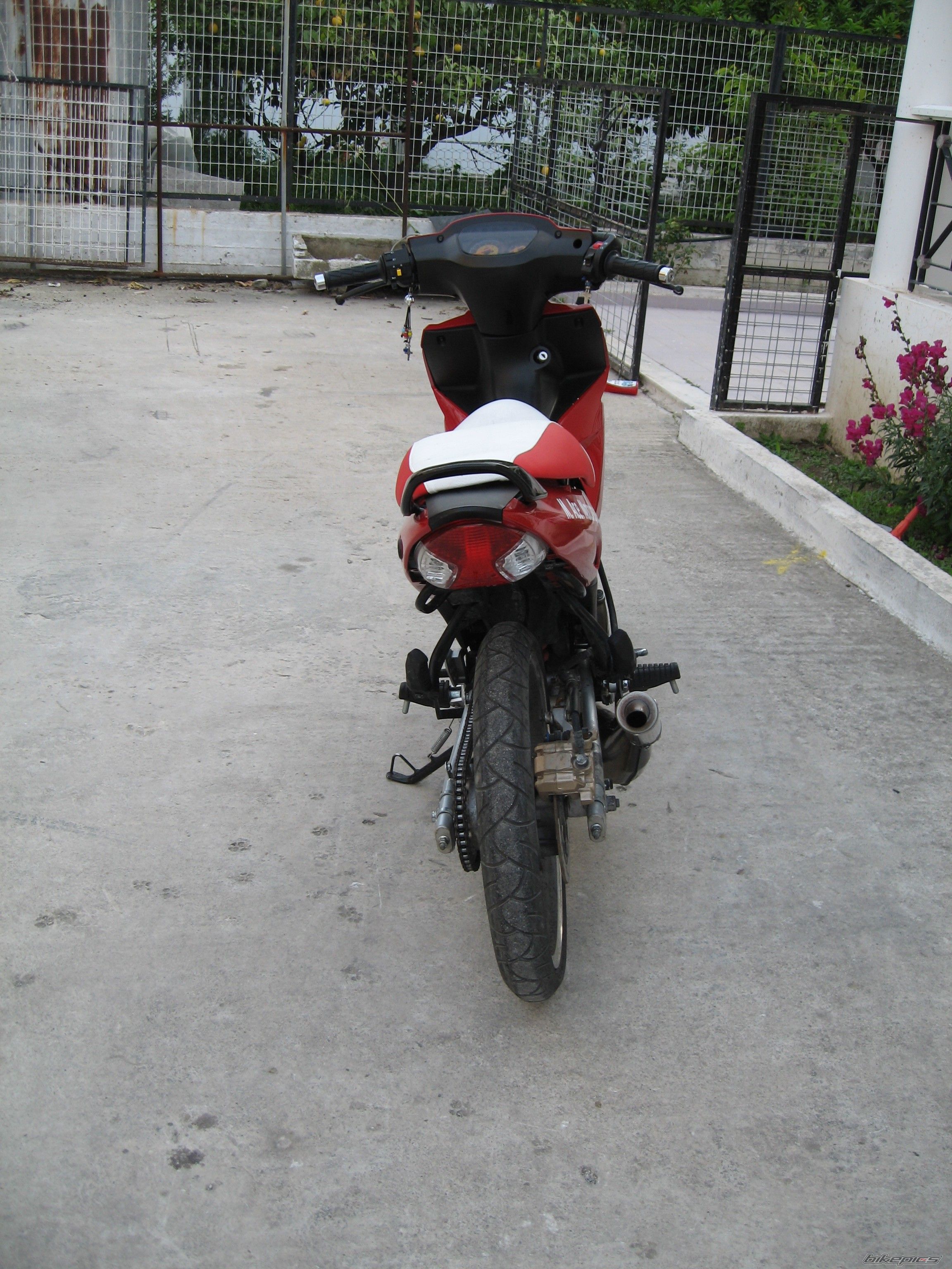 Photo 901325