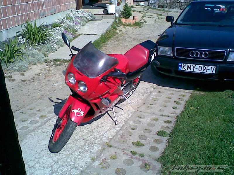 Photo 901368