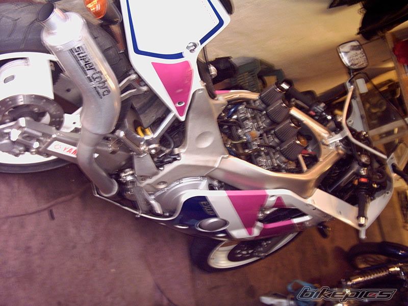 Photo 901634