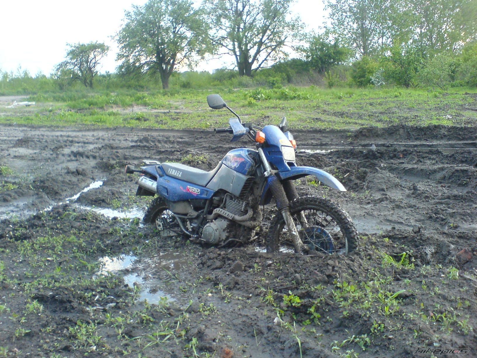 Bike Photo 901679