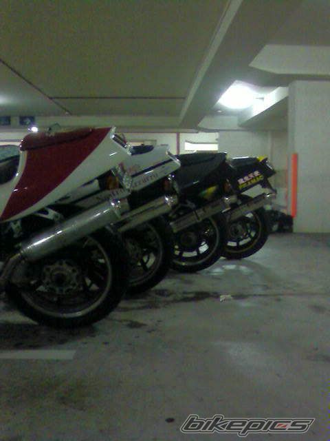 Photo 901782