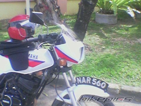 Photo 901858