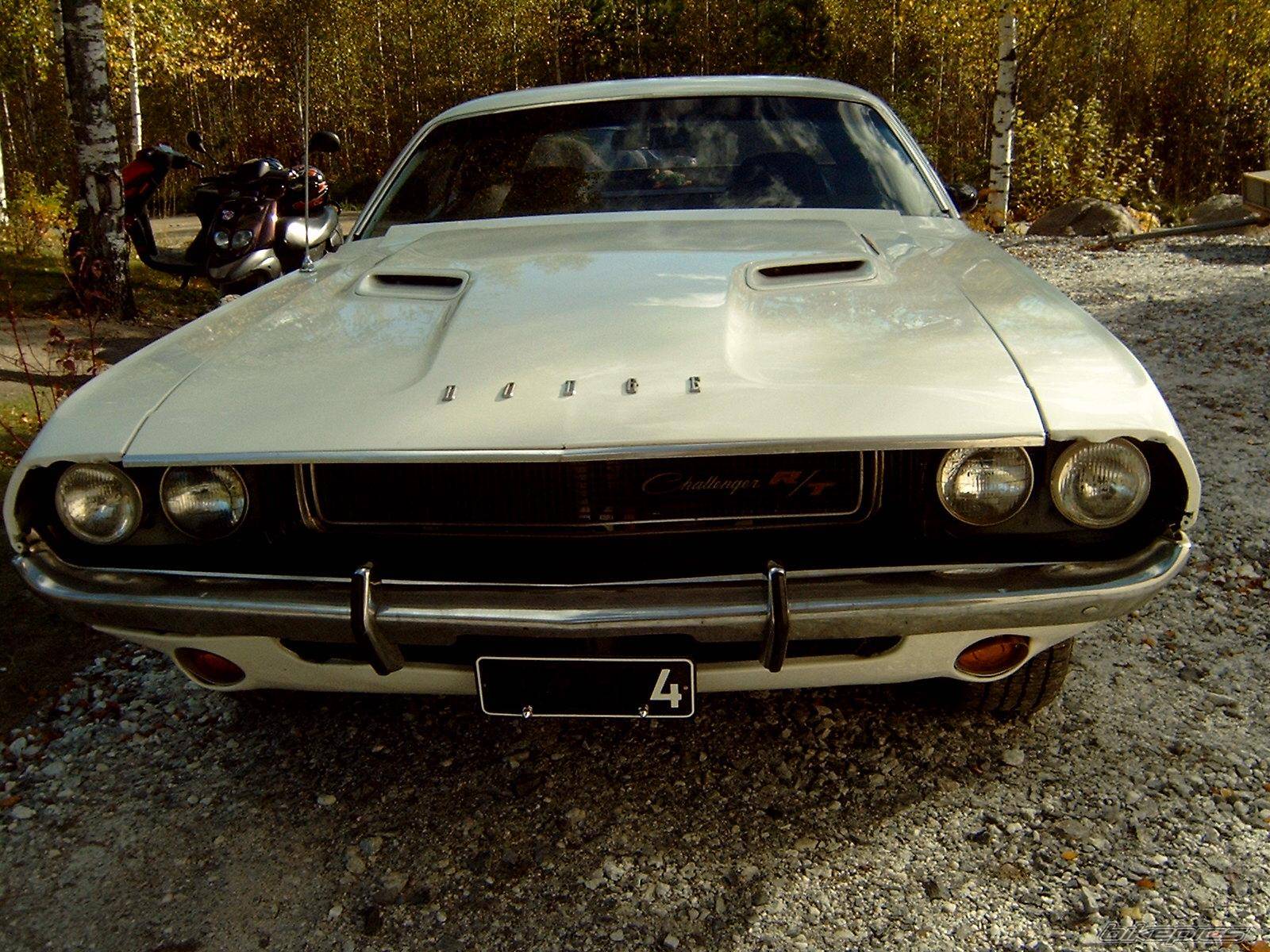 Photo 90191