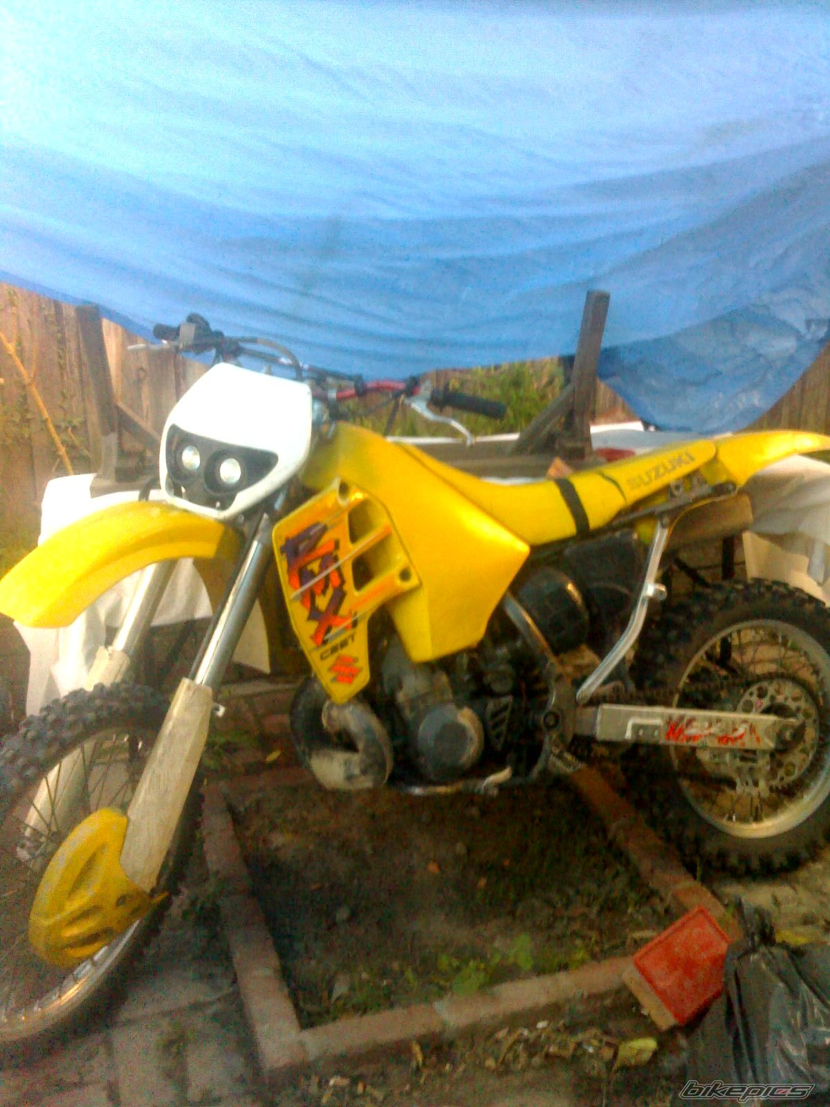 Photo 901923