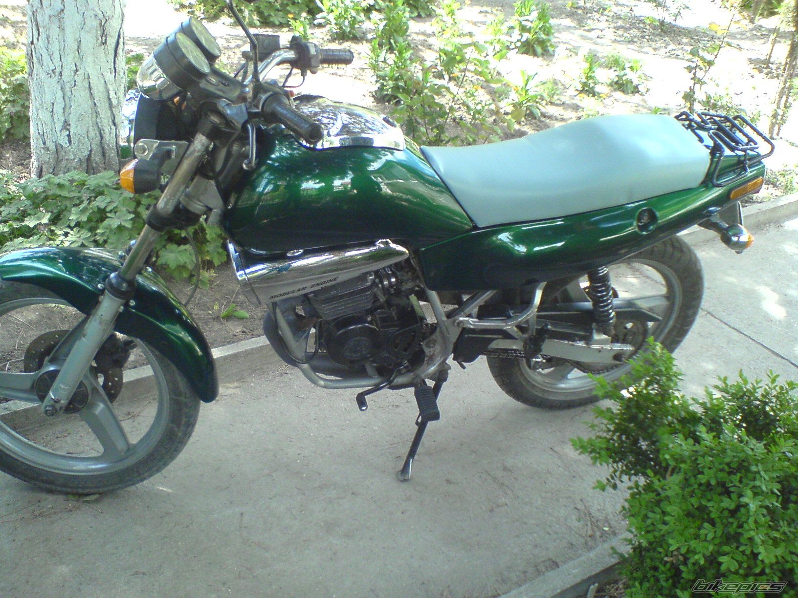 Photo 901980