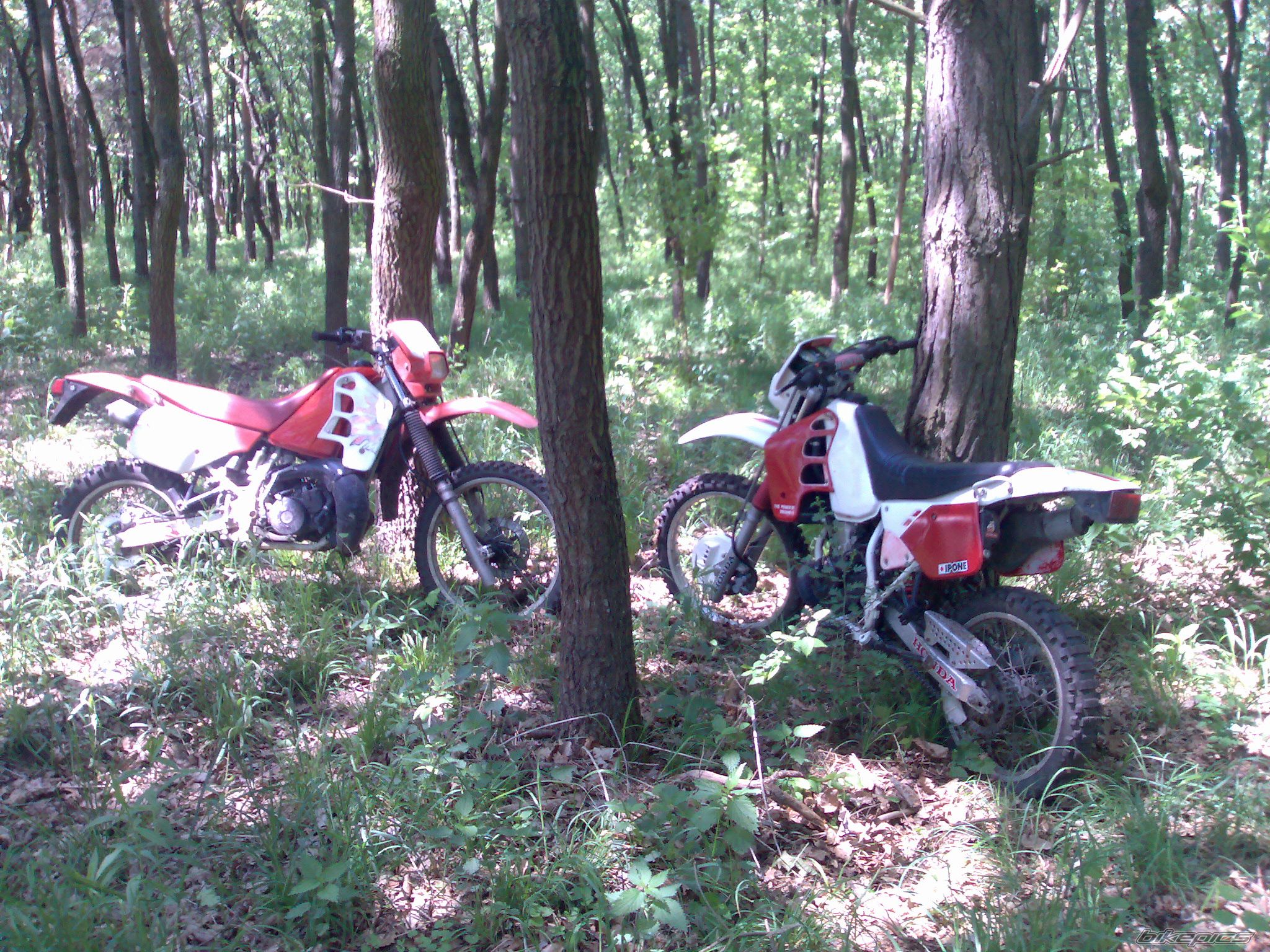 Photo 901985