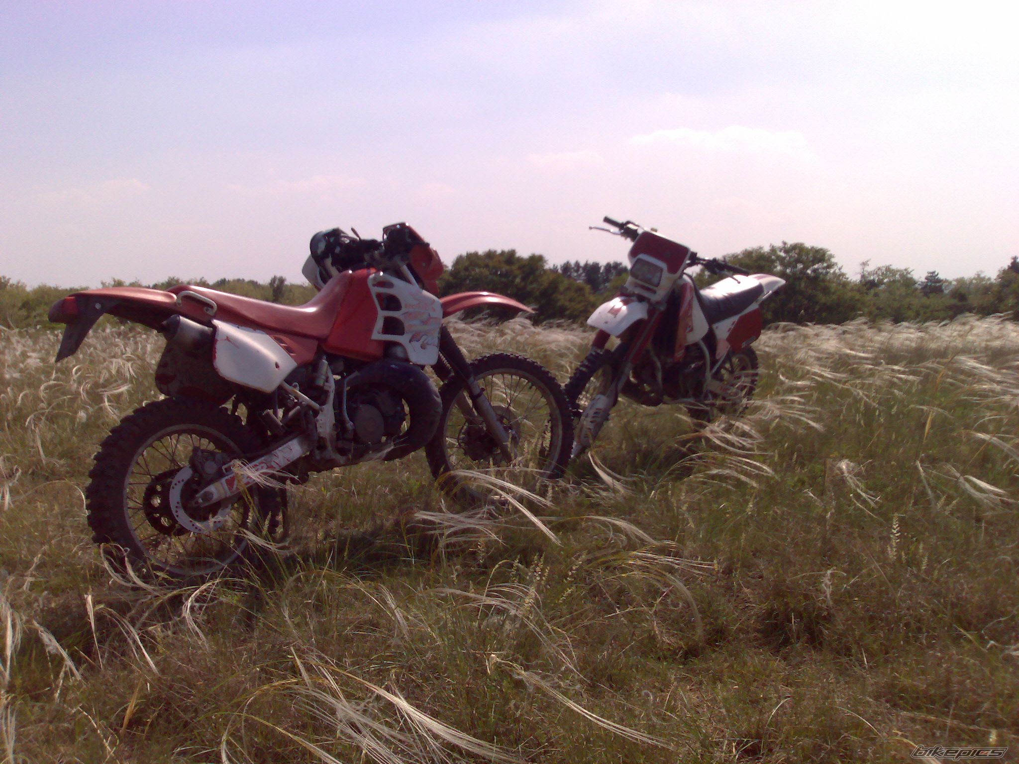 Photo 901986