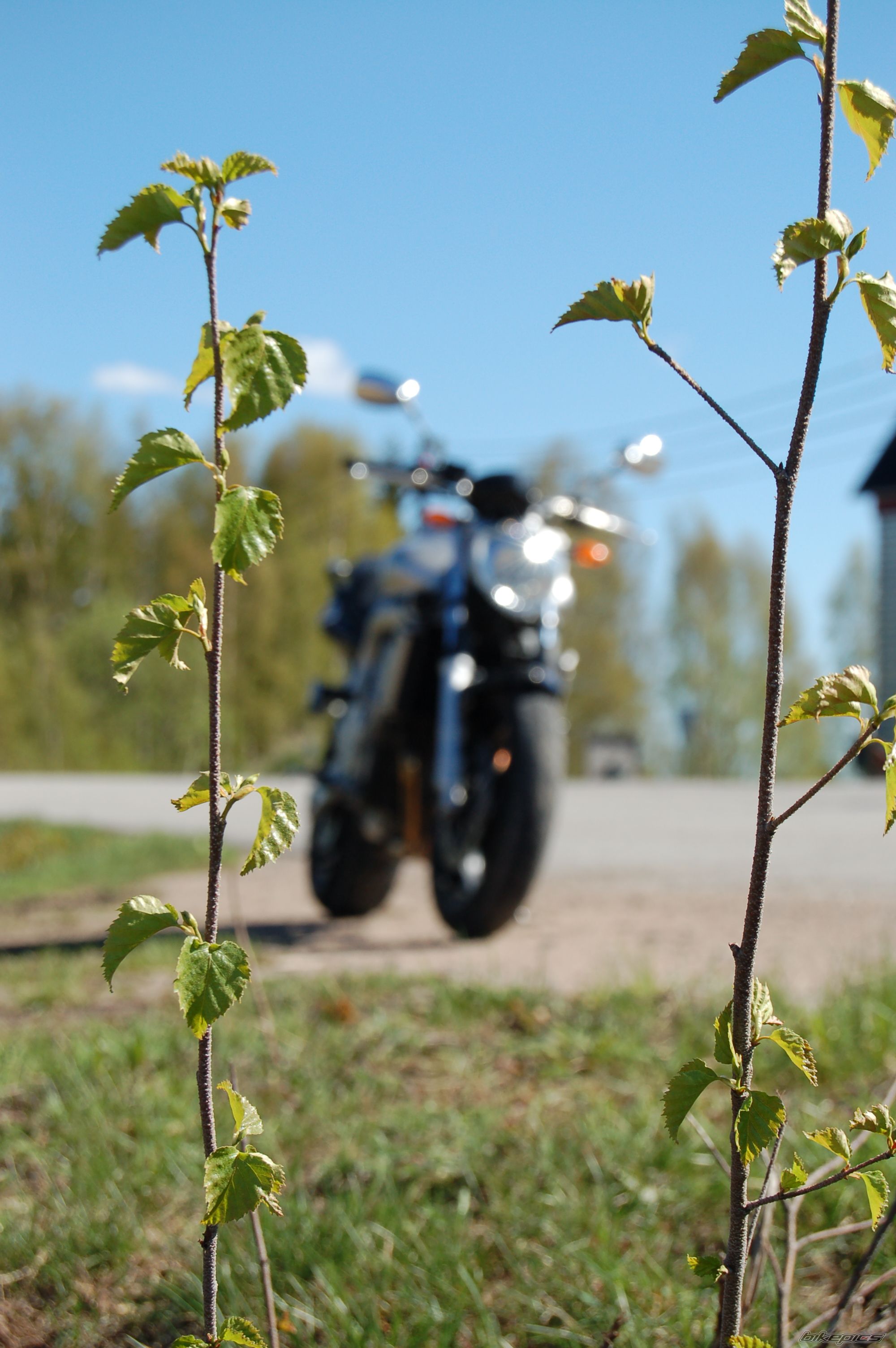 Bike Photo 902005