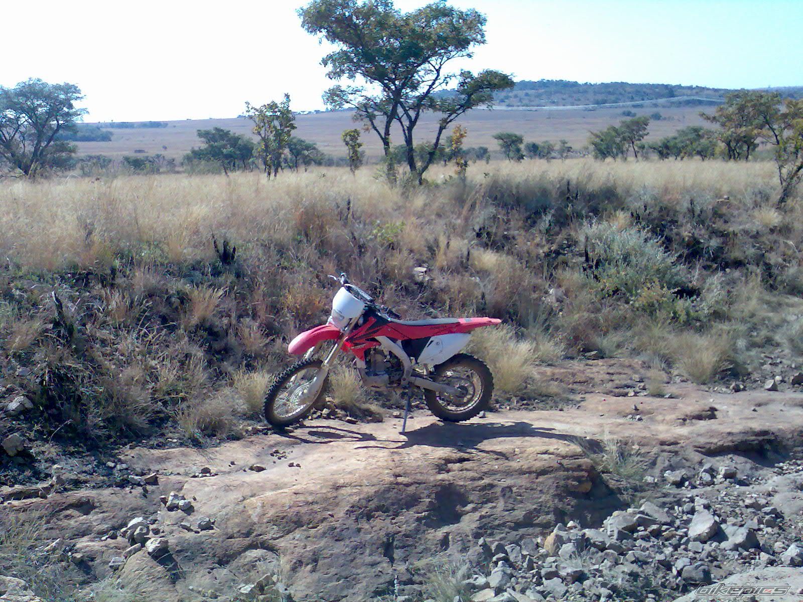 Photo 902033
