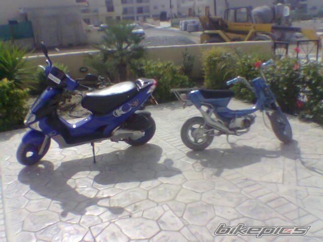 Photo 902057
