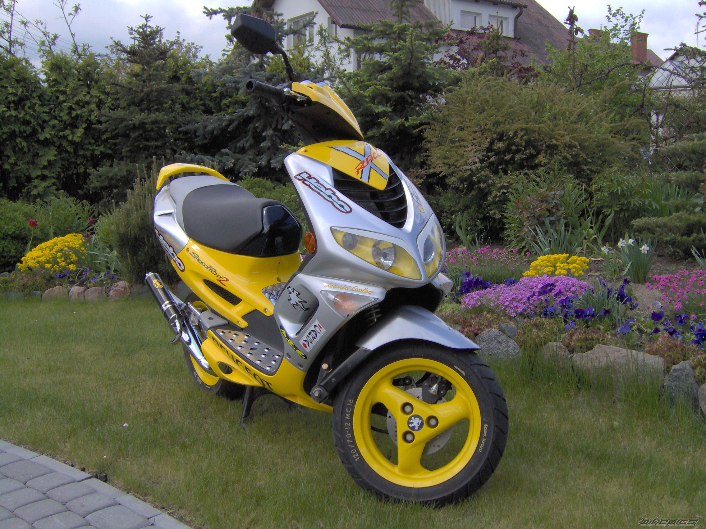 Photo 902343