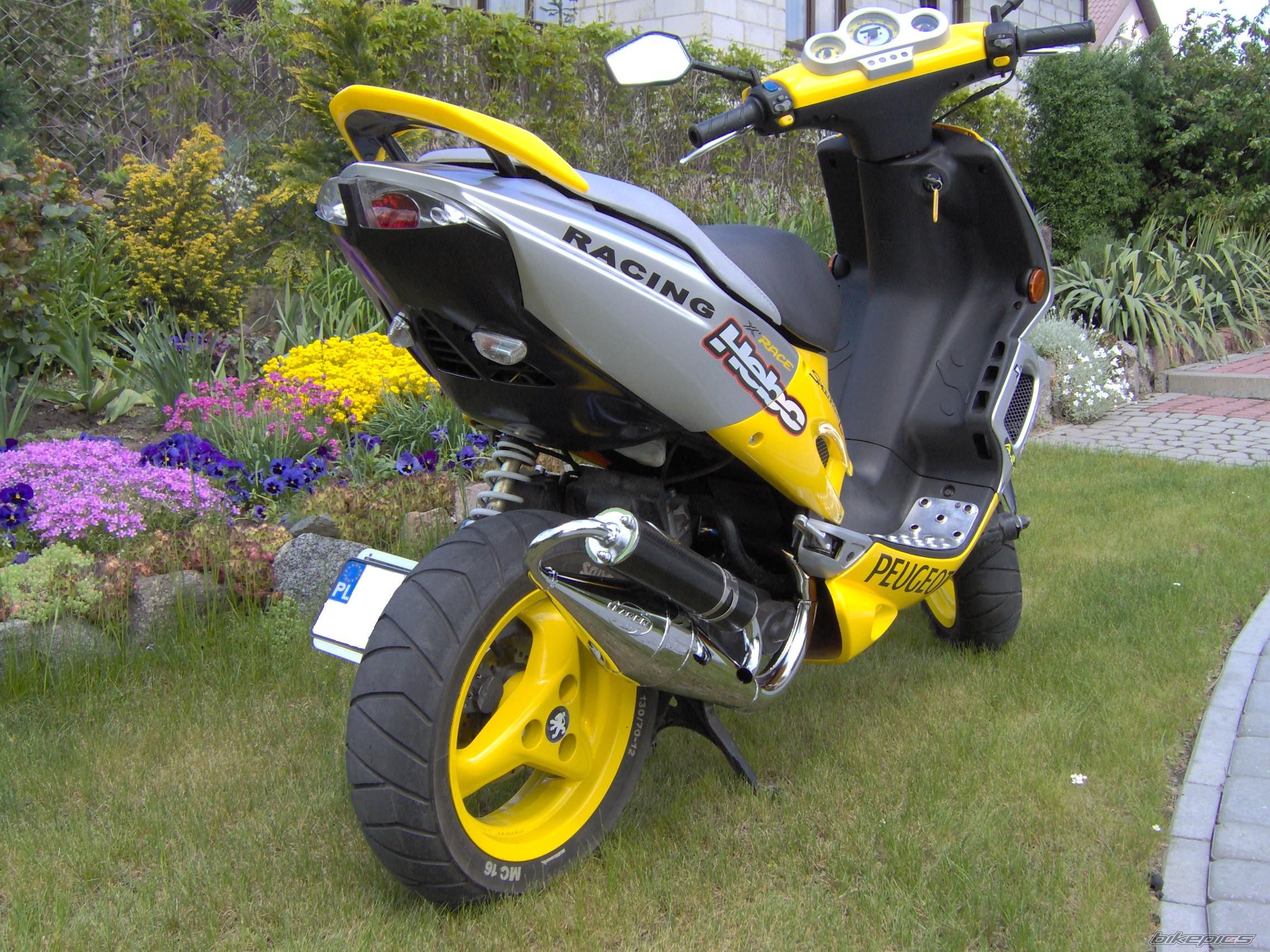 Photo 902386