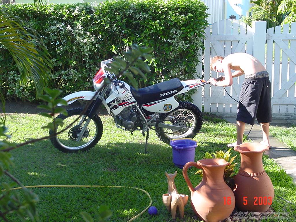 Photo 90241