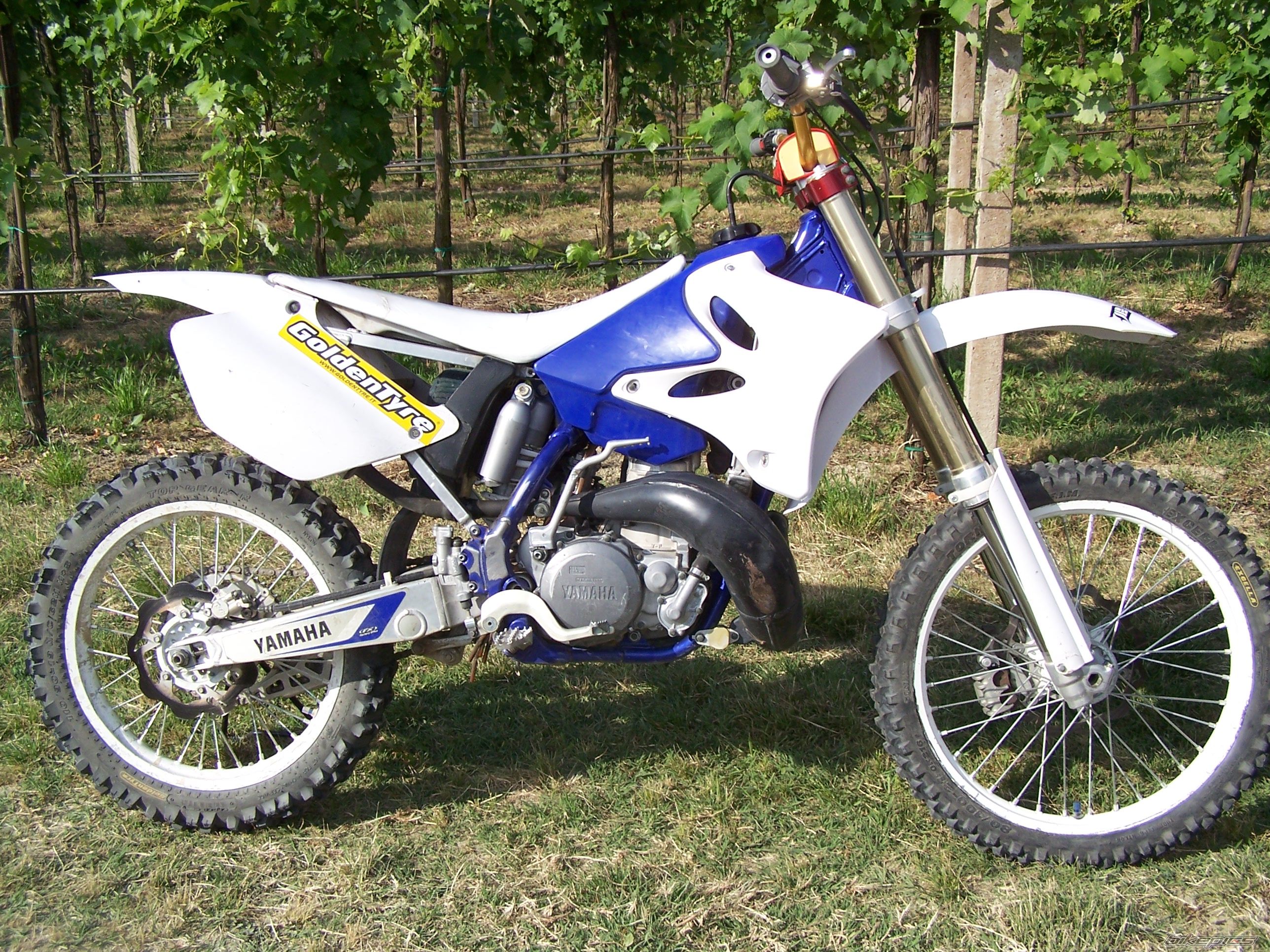 Bike Photo 902525