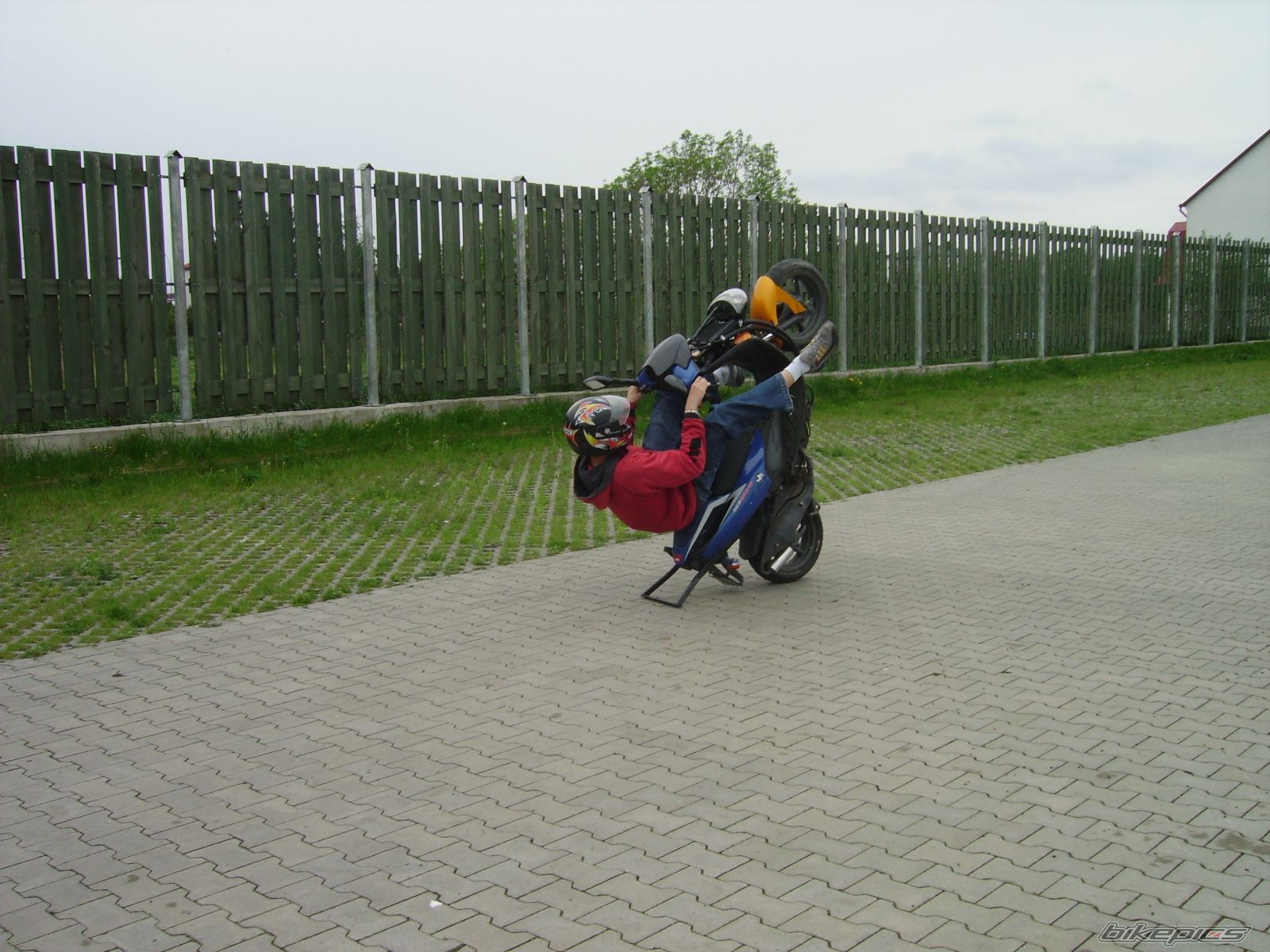 Photo 902592