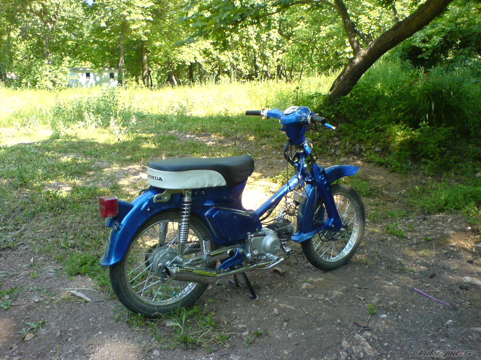 Photo 902860