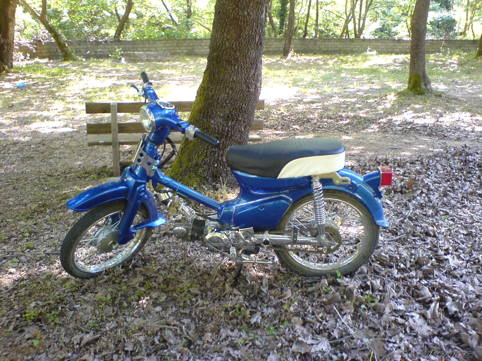 Photo 902862