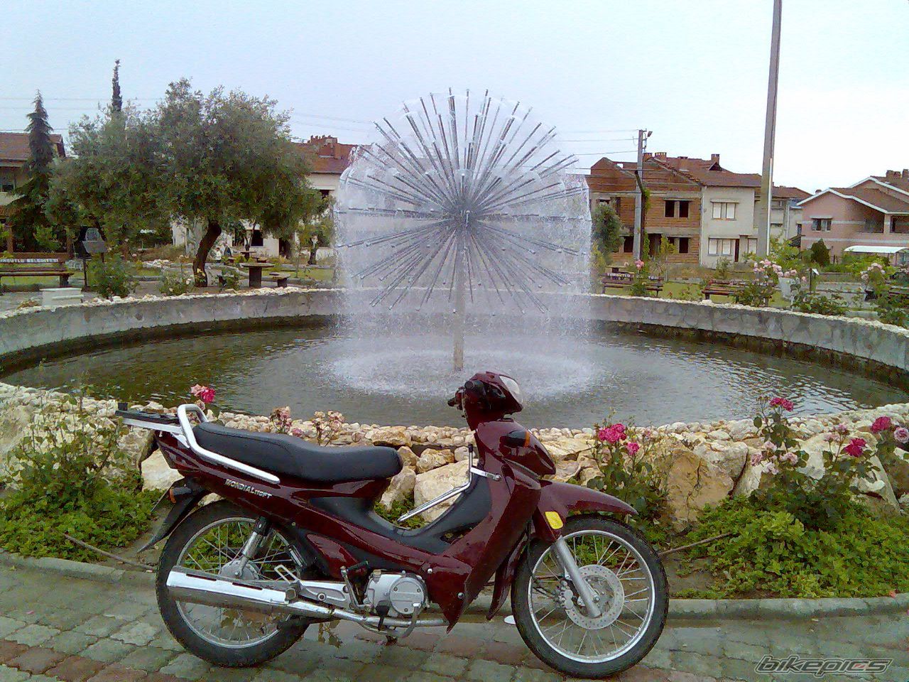 Photo 902914
