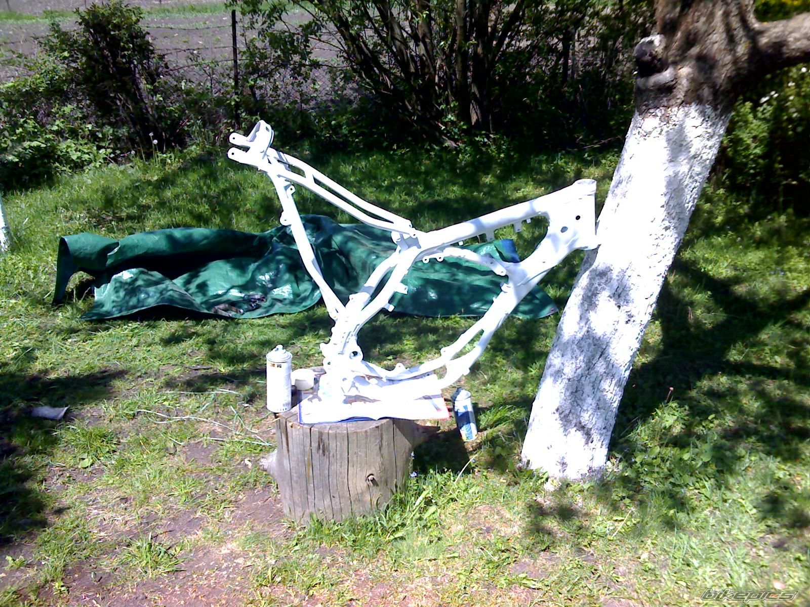 Photo 902992