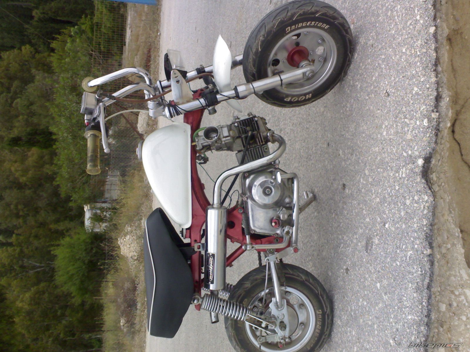 Photo 903053
