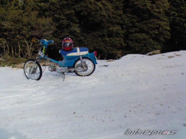 Photo 903168