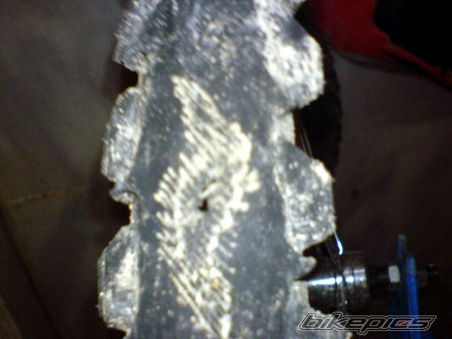 Bike Photo 903409