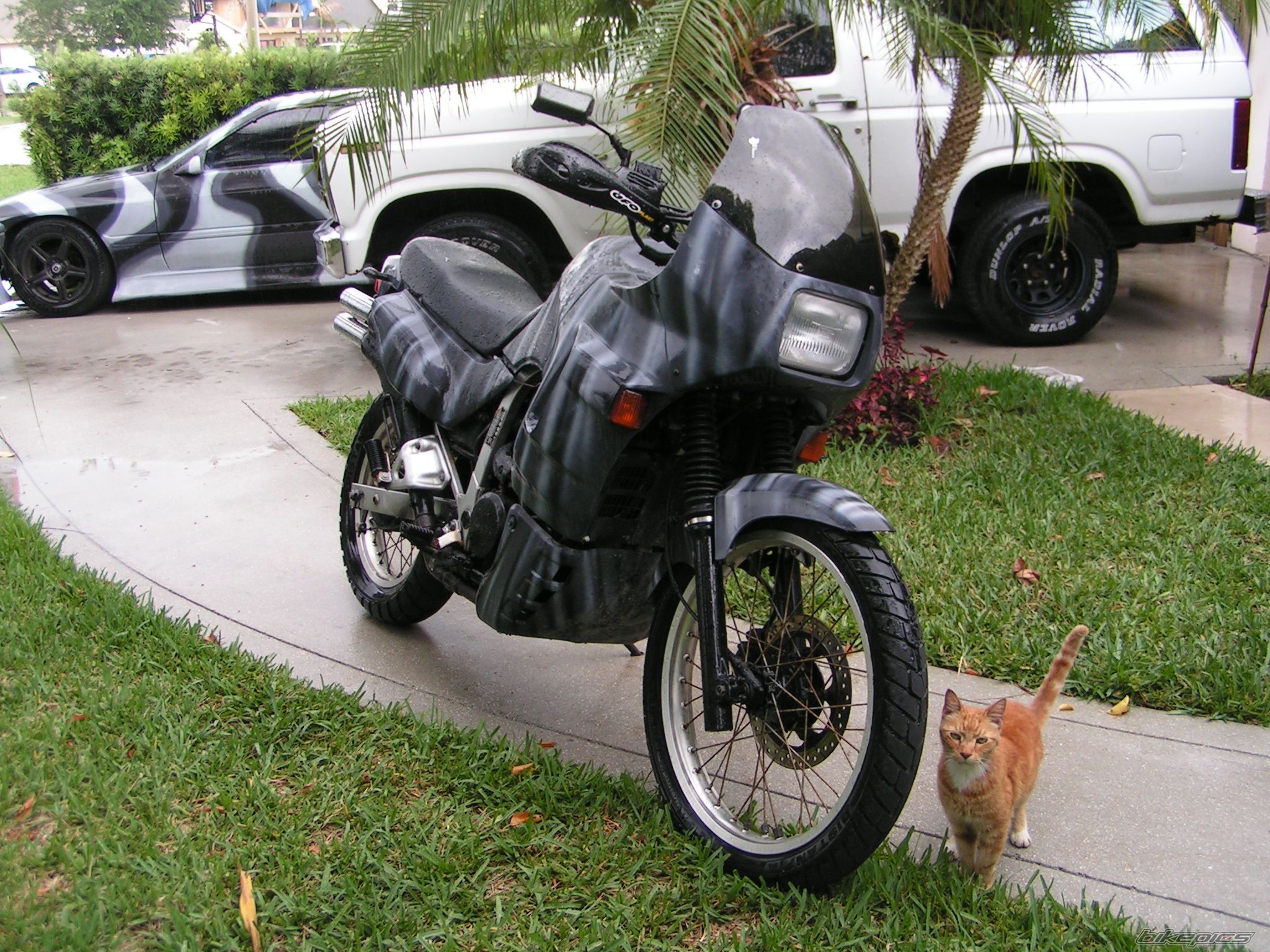 Bike Photo 903520