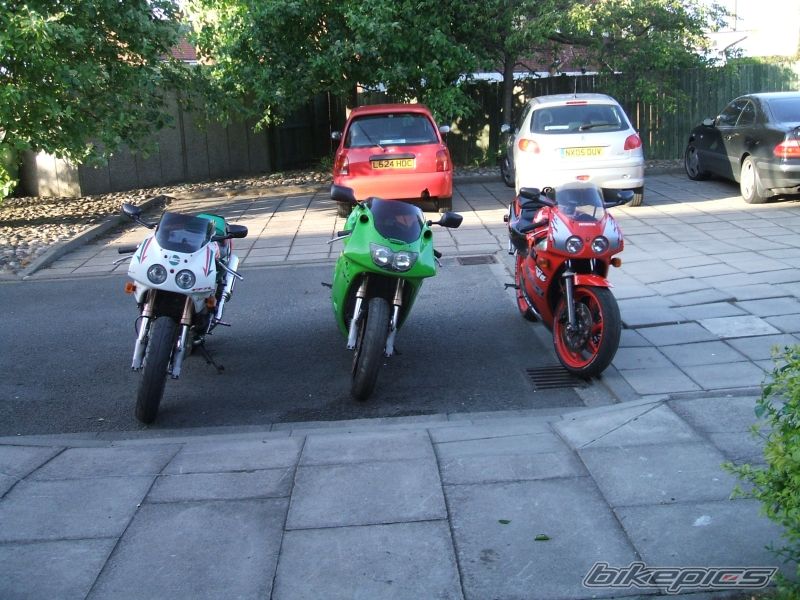 Photo 903754