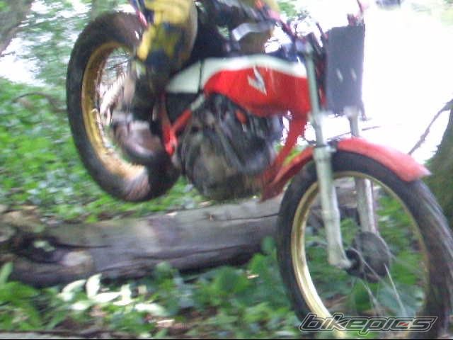 Photo 903875