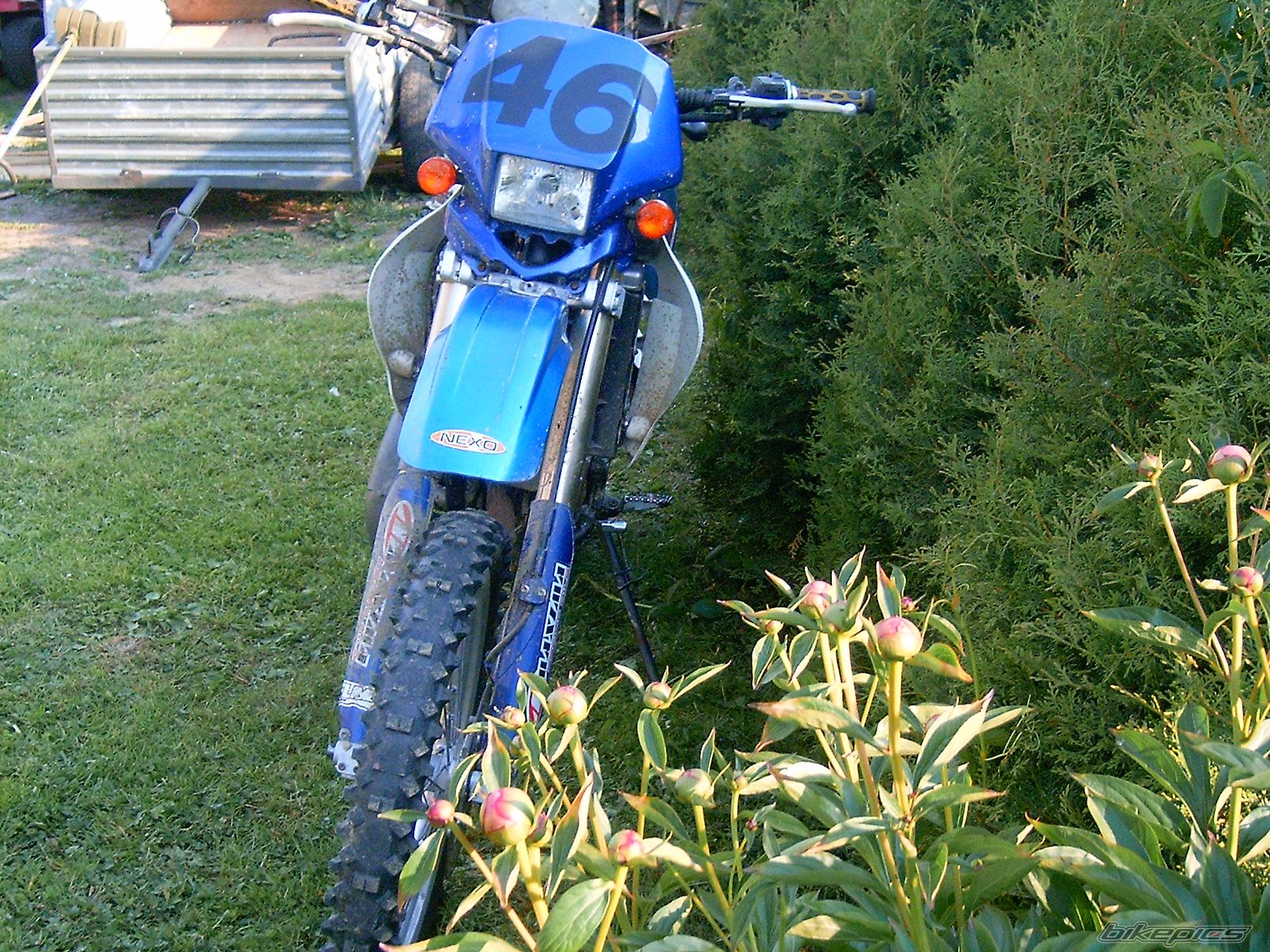 Photo 903892