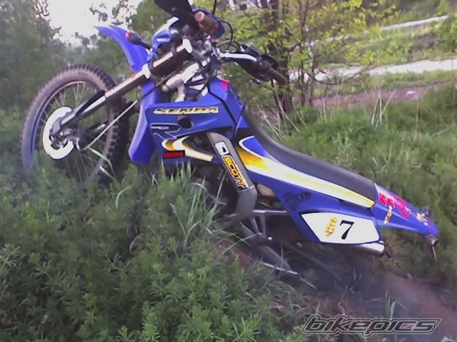 Photo 904391