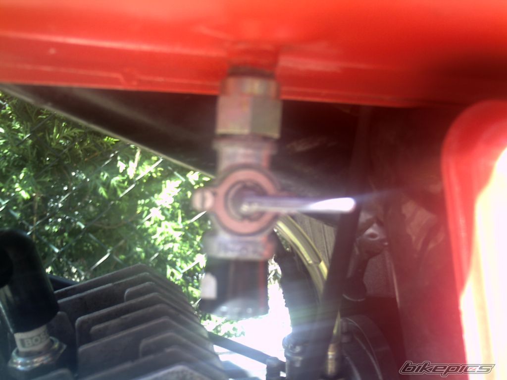 Bike Photo 904448
