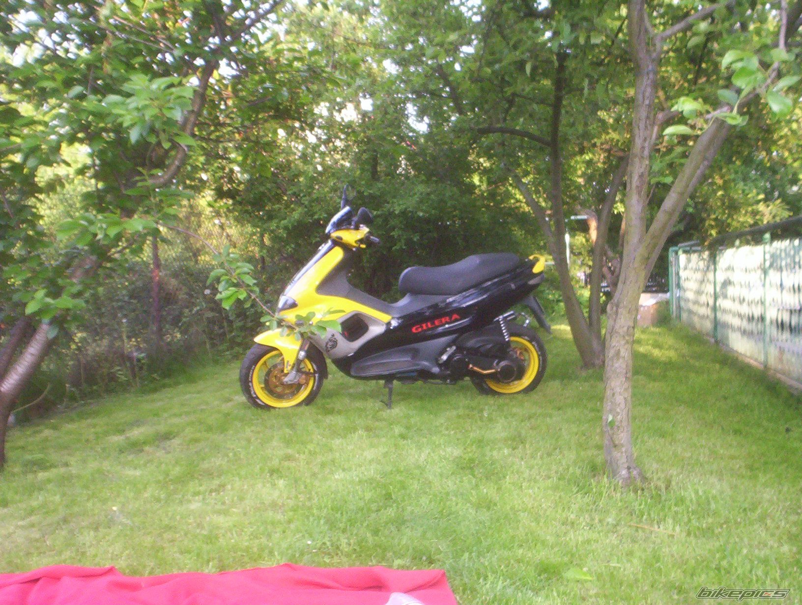 Photo 904810