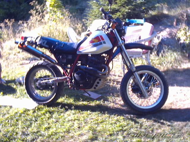 Bike Photo 904823