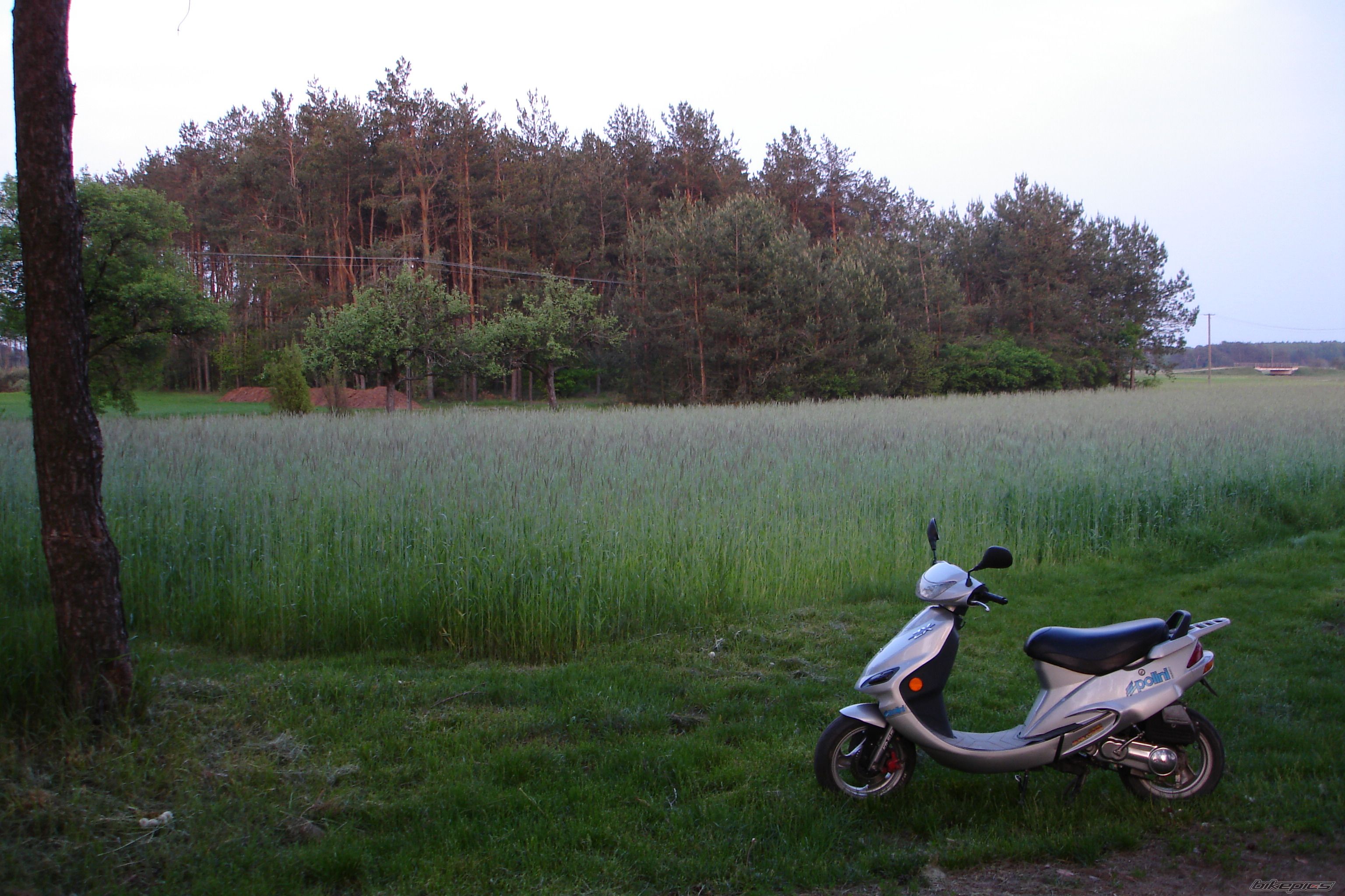 Bike Photo 904987