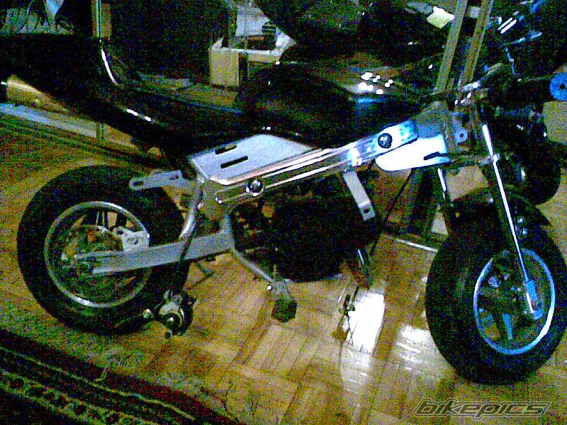 Photo 905055