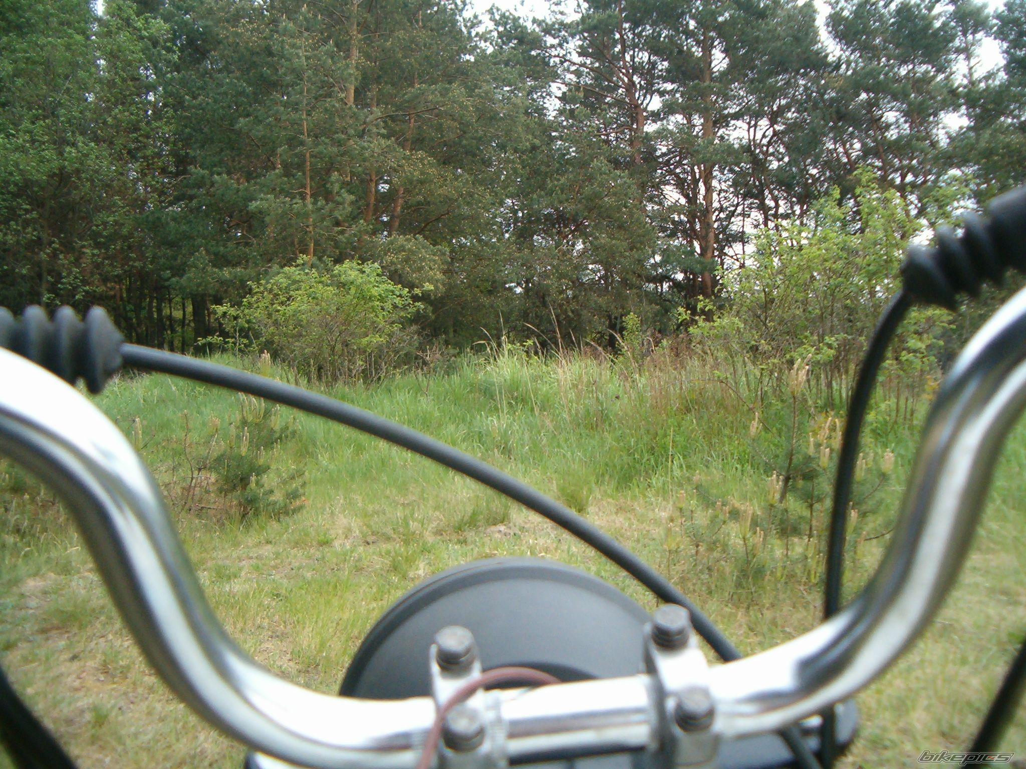 Bike Photo 905067