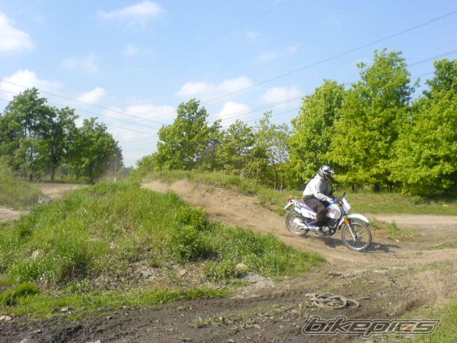 Photo 905086