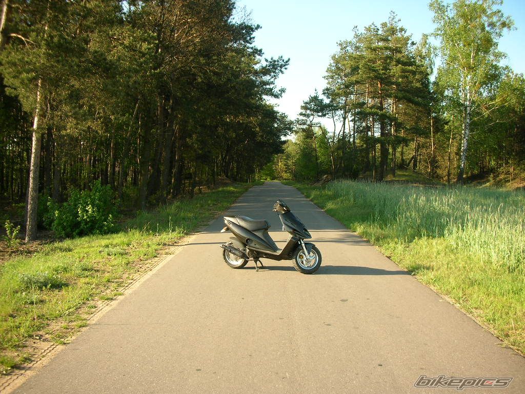 Photo 905096