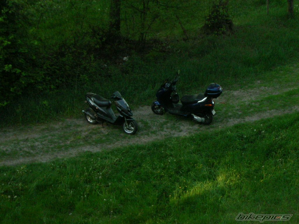 Photo 905099