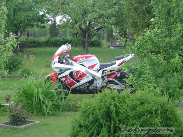 Photo 905170
