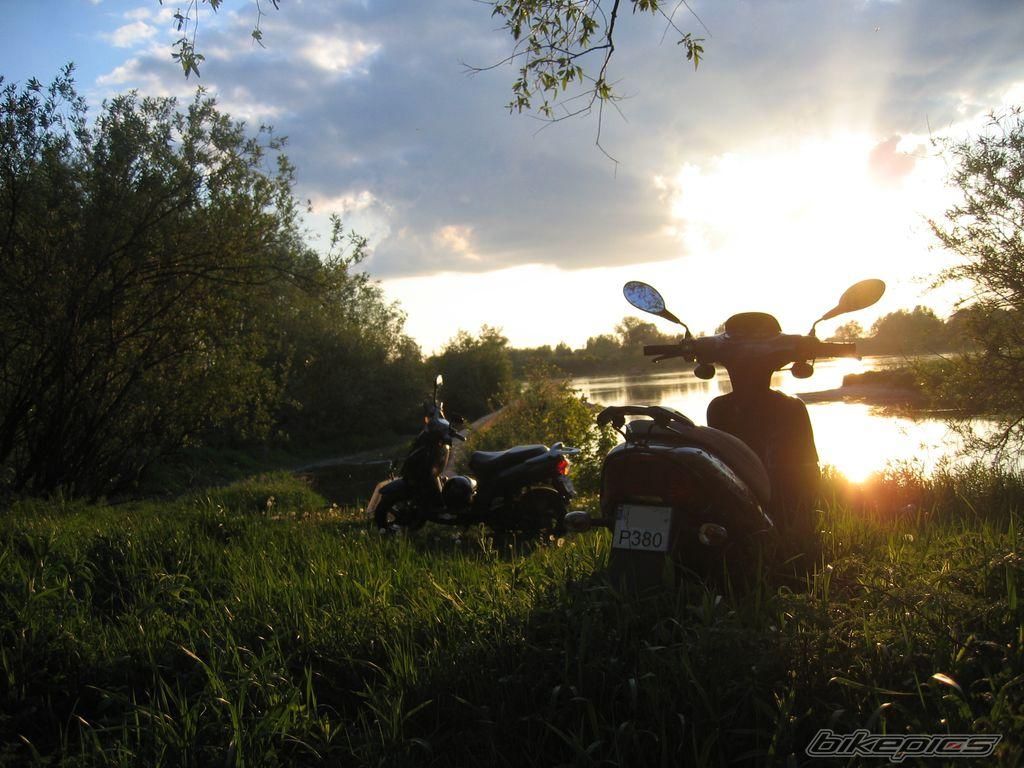 Photo 905173