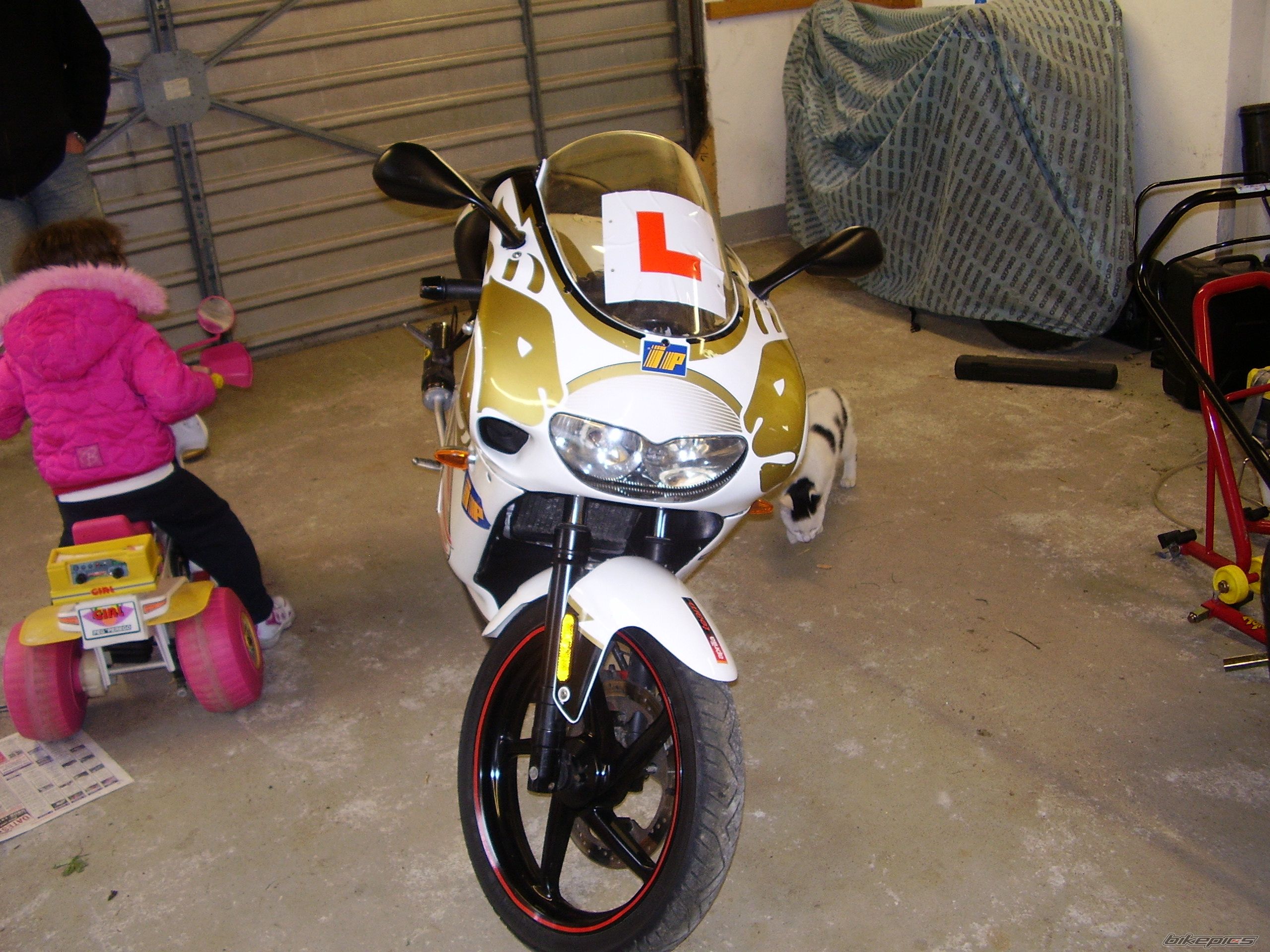 Bike Photo 905192