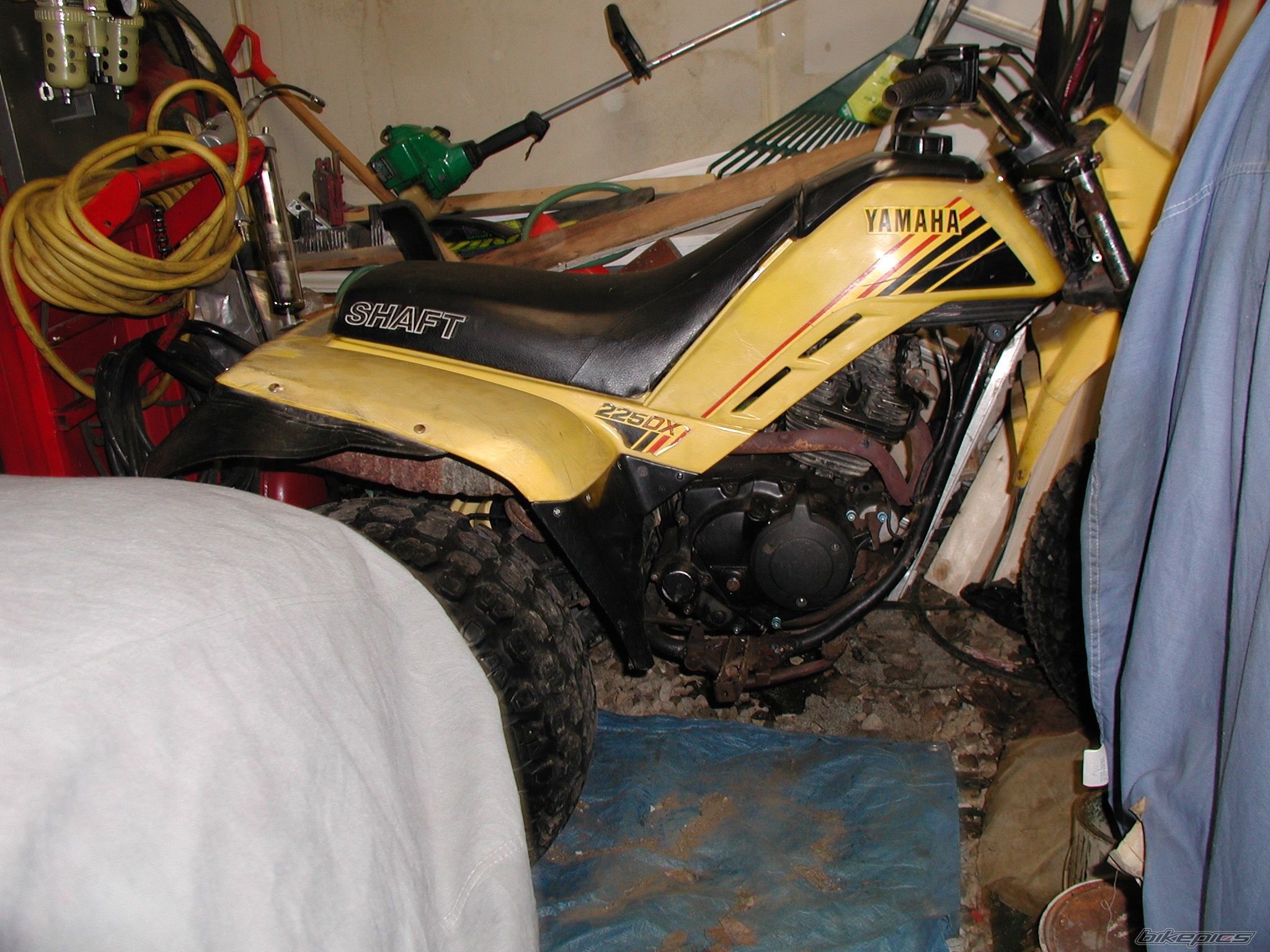 Bike Photo 905467