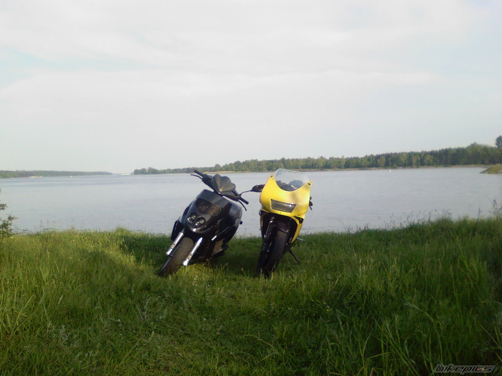 Photo 905860
