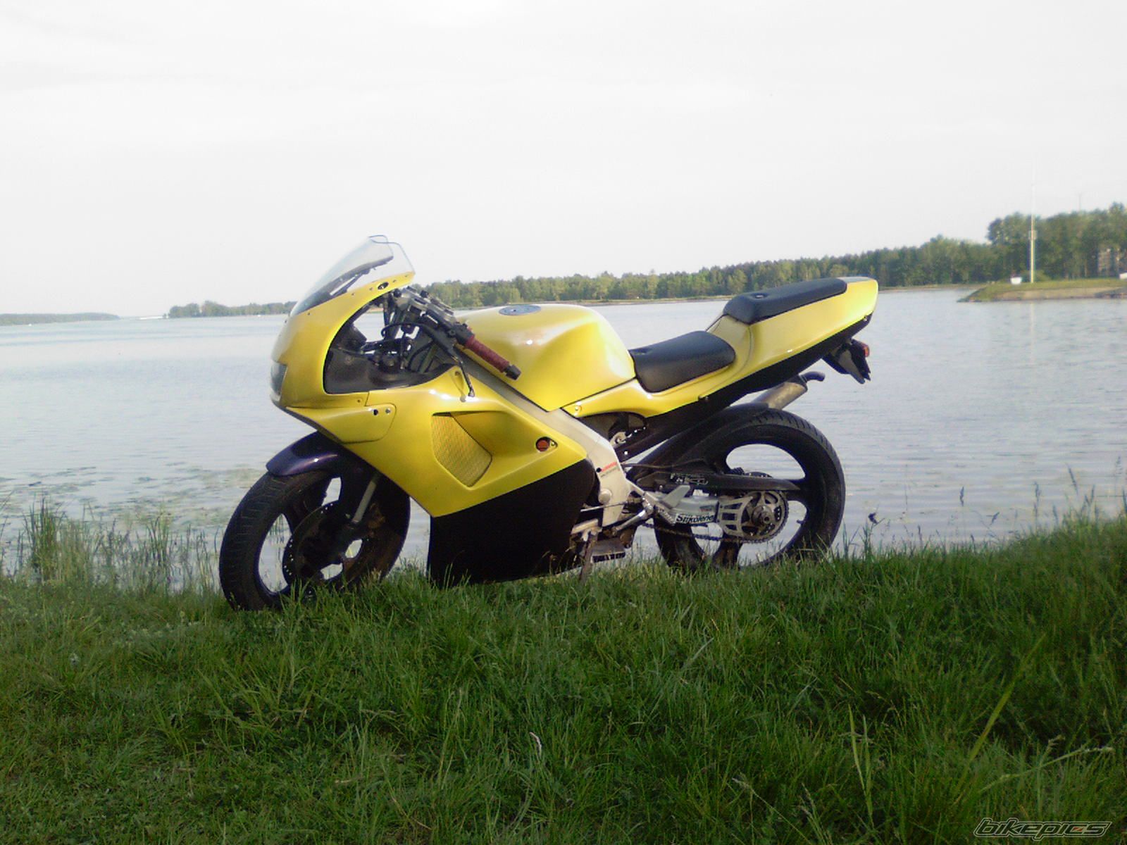 Photo 905867